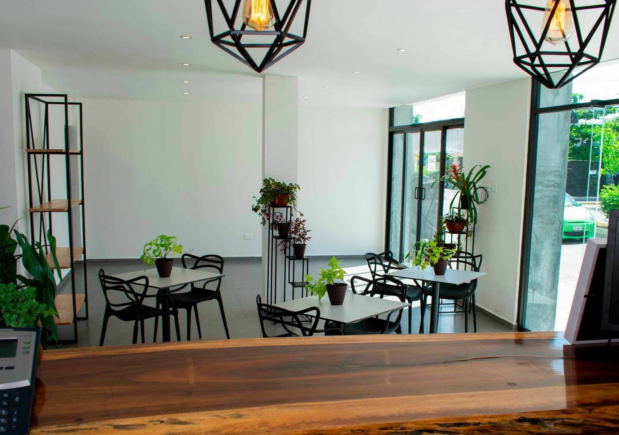 We Express Hotel Playa Del Carmen (Adults Only) Exterior foto